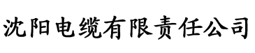 娇淫青春之爸爸石俊小姨电缆厂logo